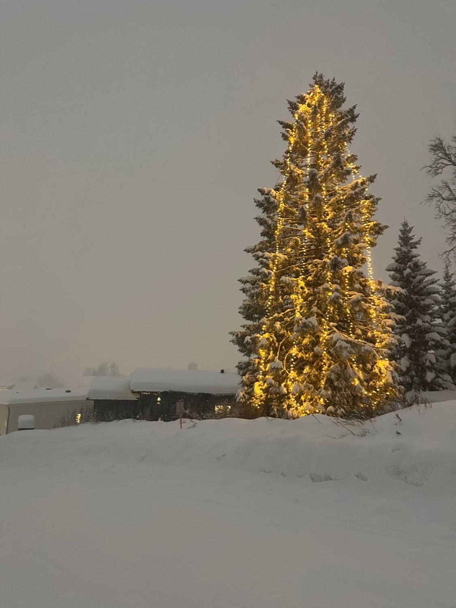 Koselig Byleilighet Sor I Sentrum Av Tromso. Екстер'єр фото